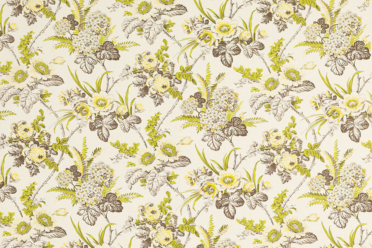 AGATHA - Spring (Sapote)http://www.raoultextiles.com/traderimages/designs/827V29.jpg